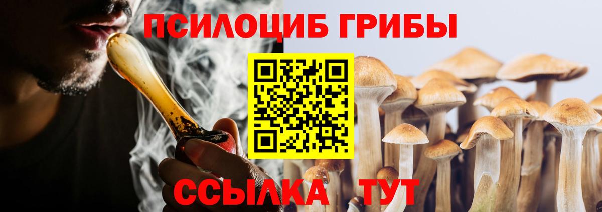 Сегежа  Галлюциногенные грибы ЛСД  Вход с VPN 